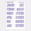 Fireworks Fun Monthly Kit for EC Planner | Monthly Planner Stickers