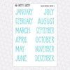 Galactic Birthday Monthly Kit for EC Planner | Monthly Planner Stickers