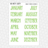 Magical St Patrick's Day Monthly Kit for EC Planner | Monthly Planner Stickers