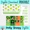Magical St. Patrick's Day Printable Planner Stickers PNG Digital Download Monthly Kit