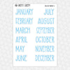 Real Boy Monthly Kit for EC Planner | Monthly Planner Stickers