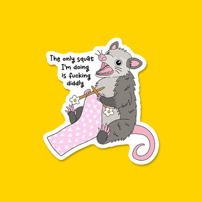 Diddly Squat Sticker