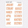 Try Everything Monthly Kit for EC Planner | Monthly Planner Stickers